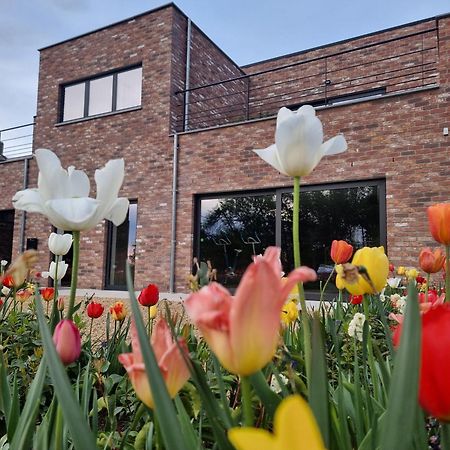Sous La Houlette Bed & Breakfast Villers-la-Ville ภายนอก รูปภาพ
