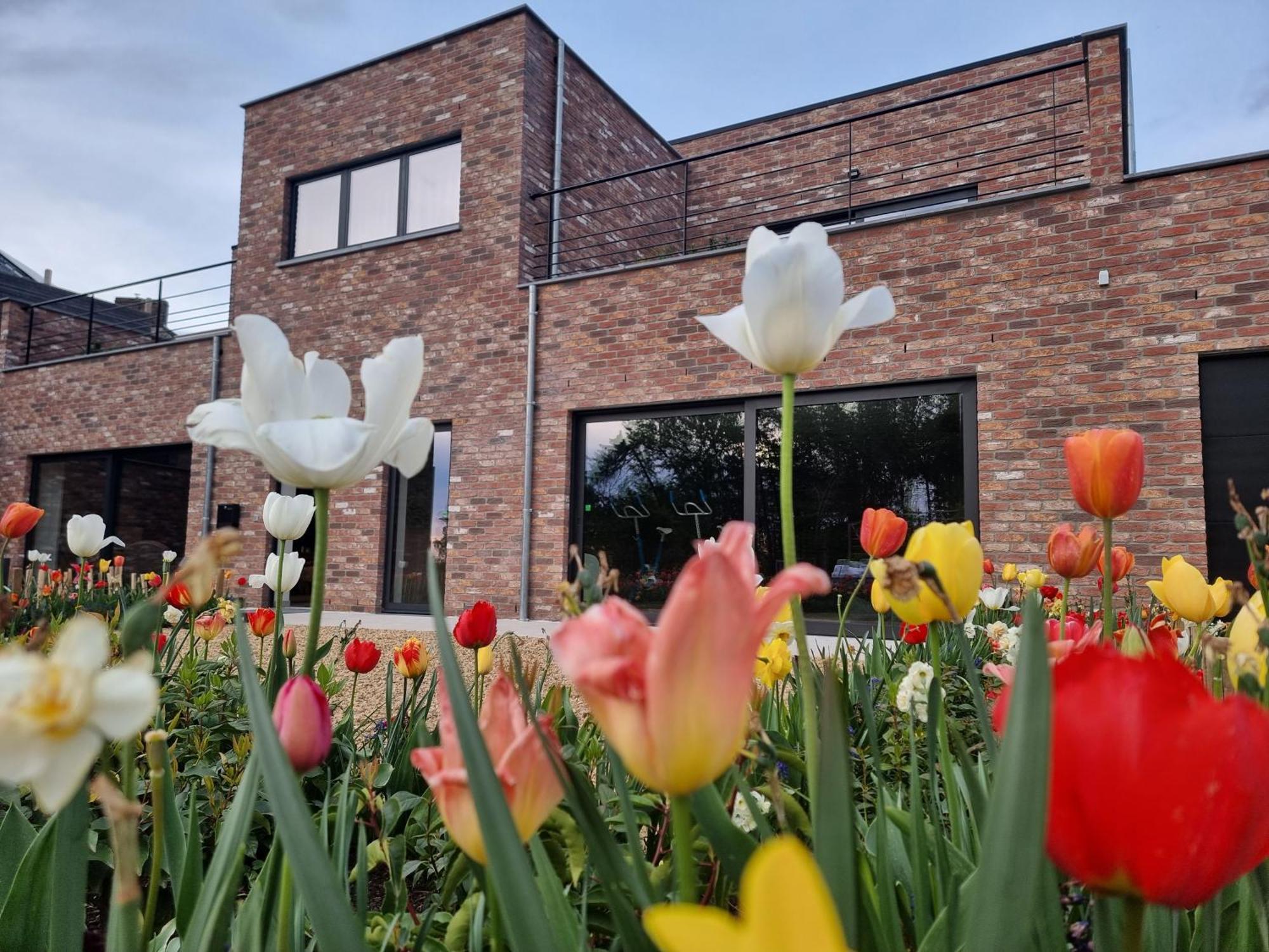 Sous La Houlette Bed & Breakfast Villers-la-Ville ภายนอก รูปภาพ